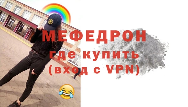 шишки Няндома