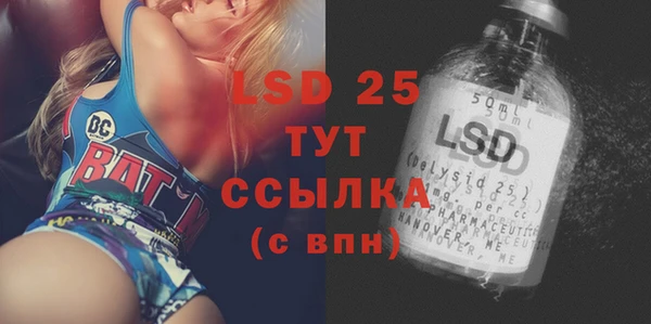 шишки Няндома