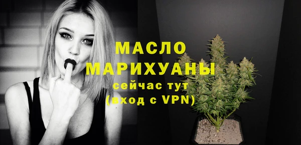 шишки Няндома