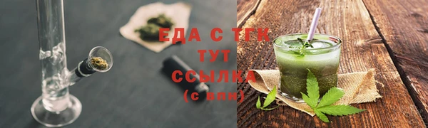 шишки Няндома