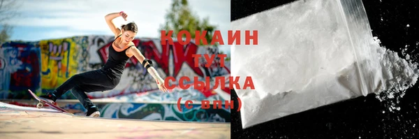 шишки Няндома