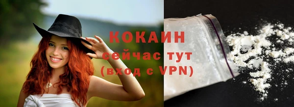 шишки Няндома