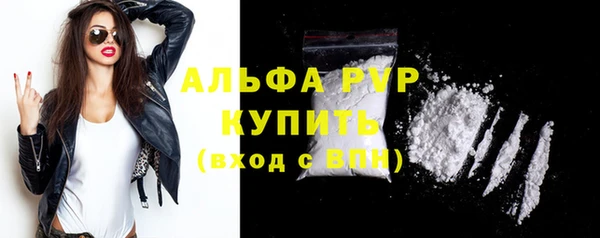 шишки Няндома