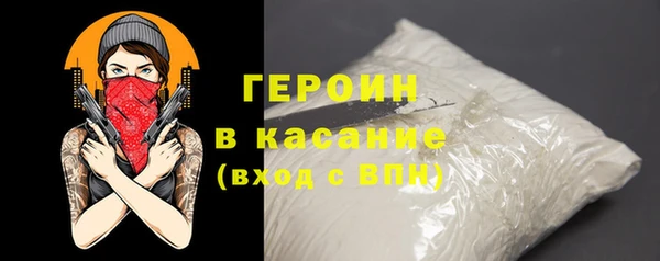 шишки Няндома