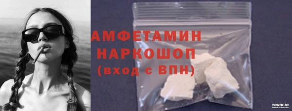 шишки Няндома