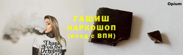 шишки Няндома