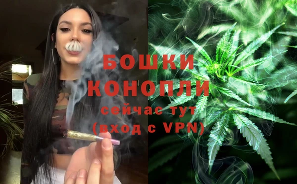 шишки Няндома