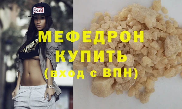 шишки Няндома