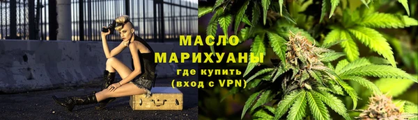 шишки Няндома