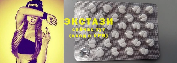 шишки Няндома