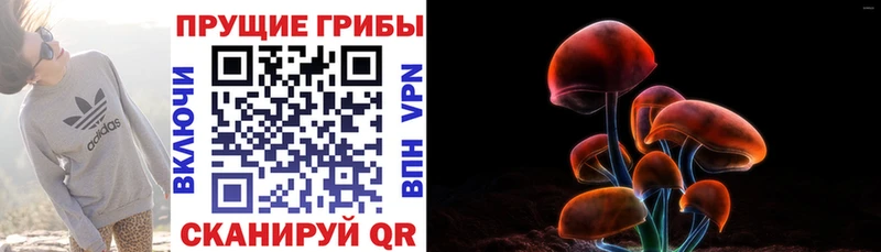 где купить   Тихвин  Псилоцибиновые грибы Magic Shrooms 