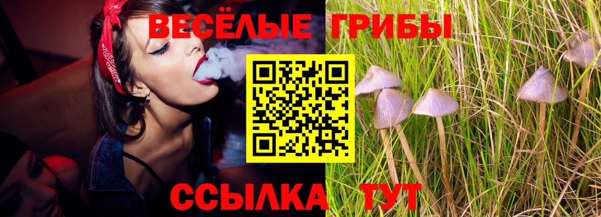 COCAIN  Кокаин  МЕФ   ГАШИШ  Канабис  Тихвин  Вход с VPN 