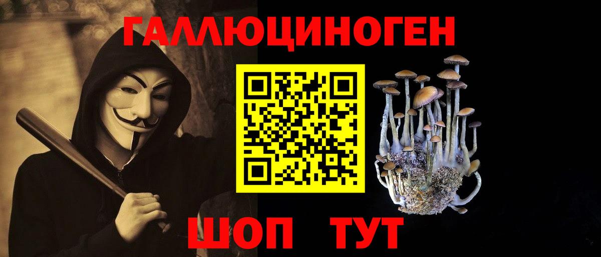 Тихвин  Псилоцибиновые грибы MAGIC MUSHROOMS  Вход с VPN  Галлюциногенные грибы мухоморы 